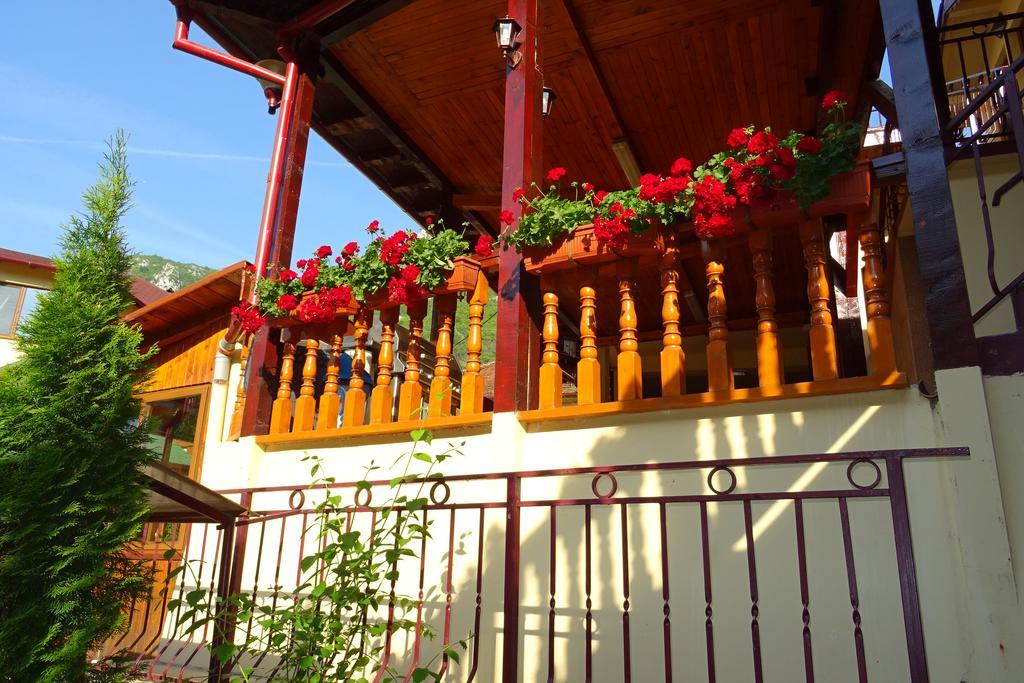 Pension Cuibul Viselor เบยเล เฮร์คูลาเน ภายนอก รูปภาพ