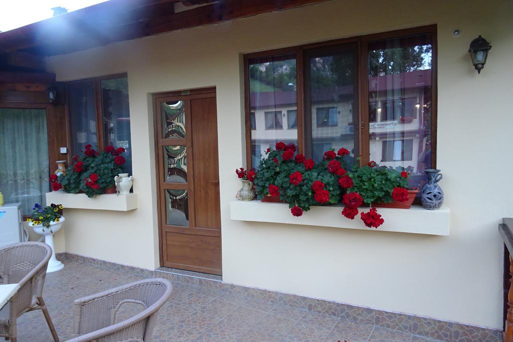 Pension Cuibul Viselor เบยเล เฮร์คูลาเน ภายนอก รูปภาพ