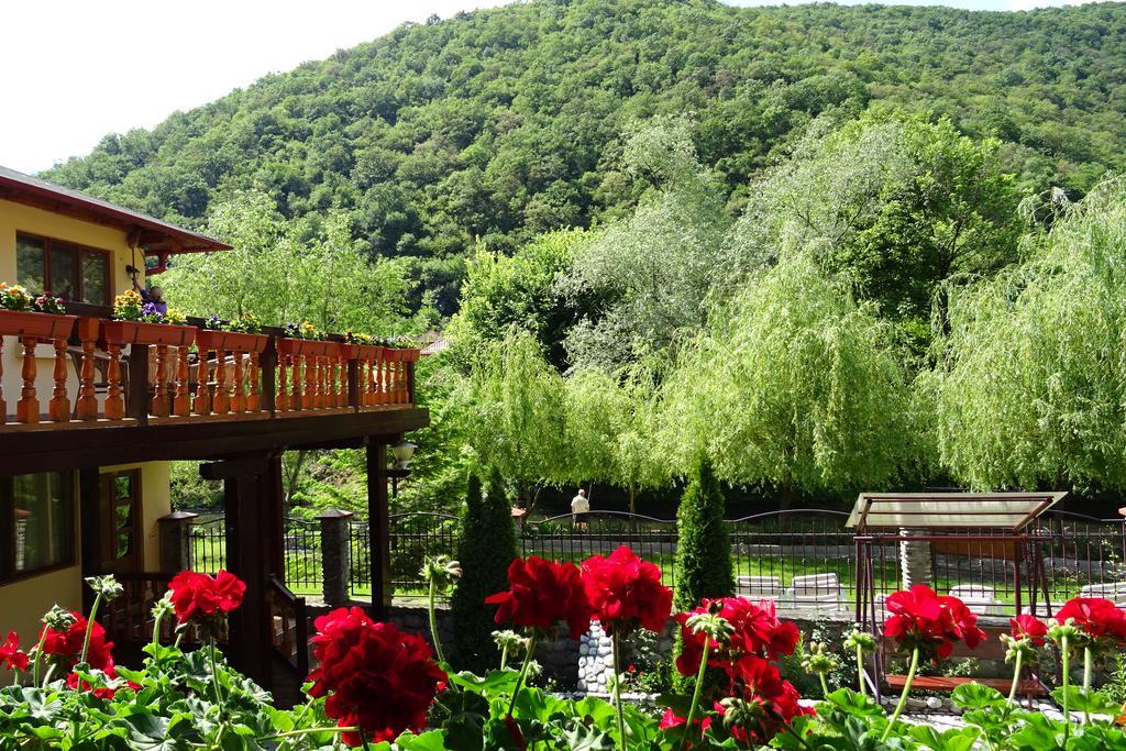 Pension Cuibul Viselor เบยเล เฮร์คูลาเน ภายนอก รูปภาพ